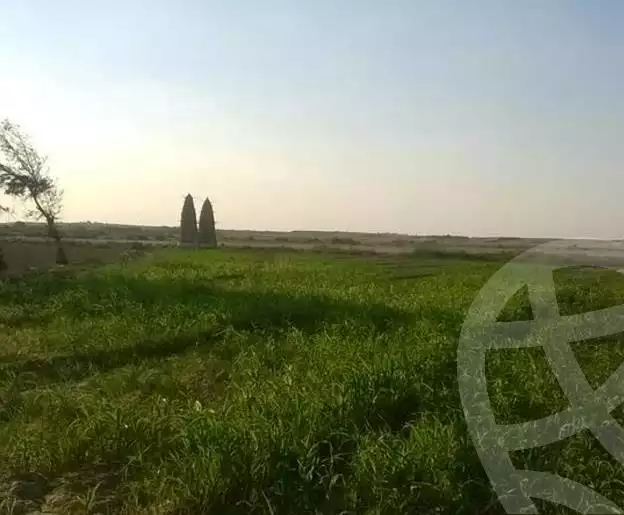 https://aqarmap.com.eg/ar/listing/4315665-for-sale-el-fayoum-tamiya