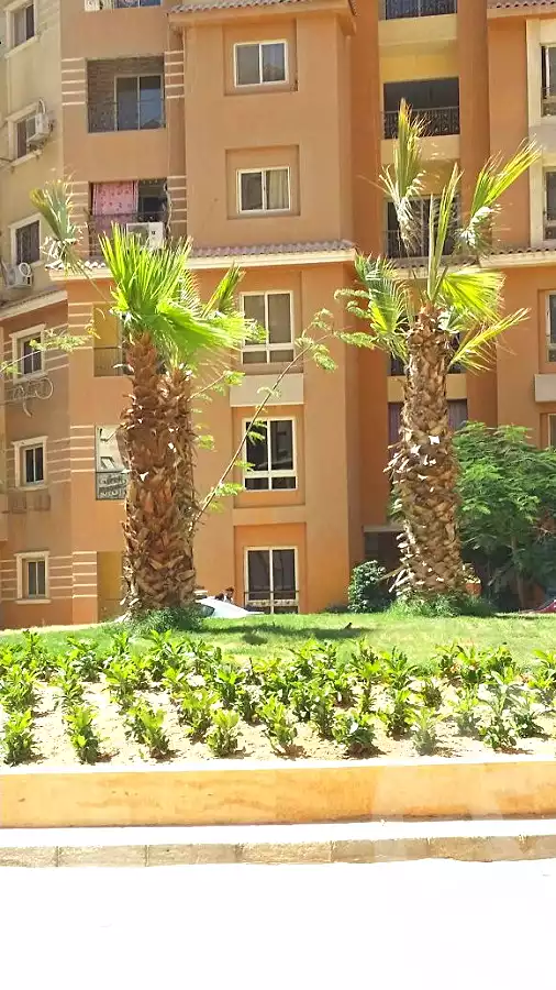 https://aqarmap.com.eg/en/listing/1981866-projects-maadi-gardens