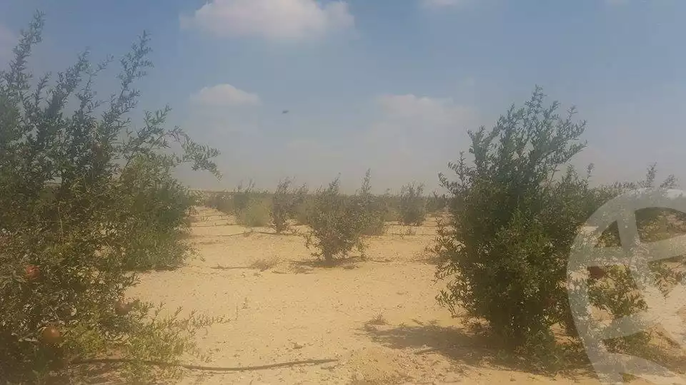 https://aqarmap.com.eg/en/listing/2499019-for-sale-land-or-farm-beheira