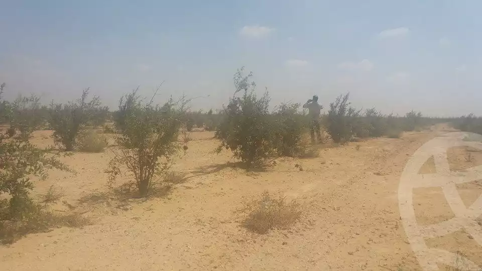 https://aqarmap.com.eg/en/listing/2499019-for-sale-land-or-farm-beheira