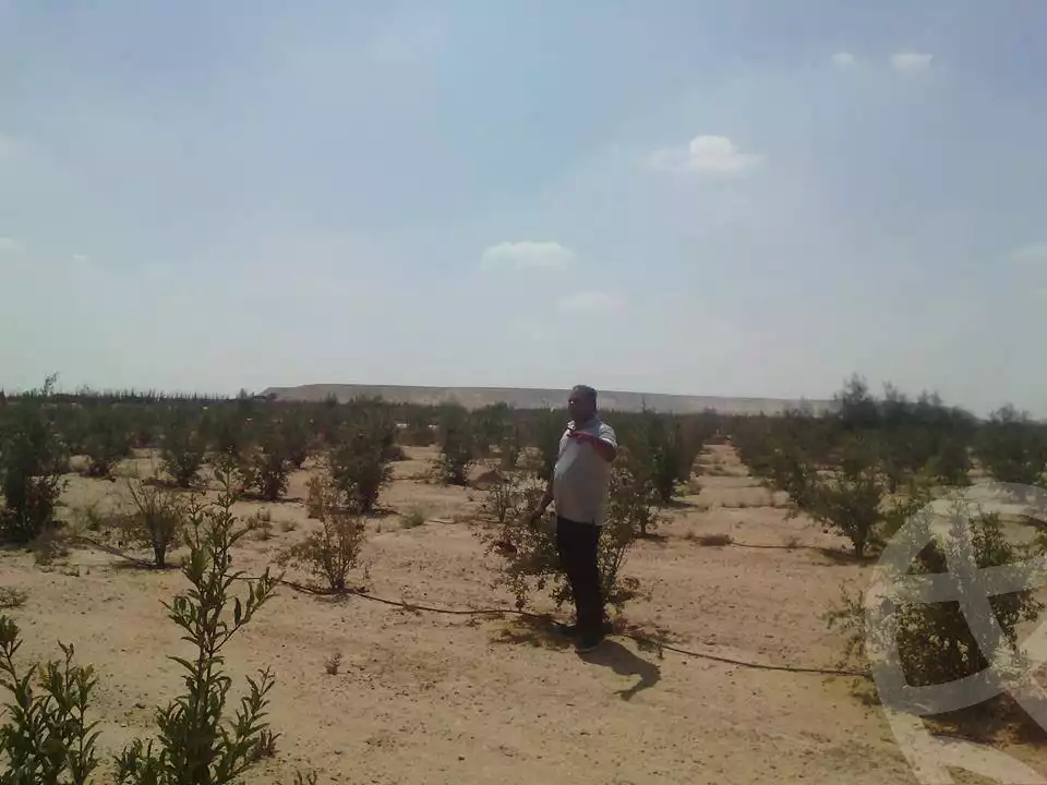 https://aqarmap.com.eg/en/listing/2499019-for-sale-land-or-farm-beheira