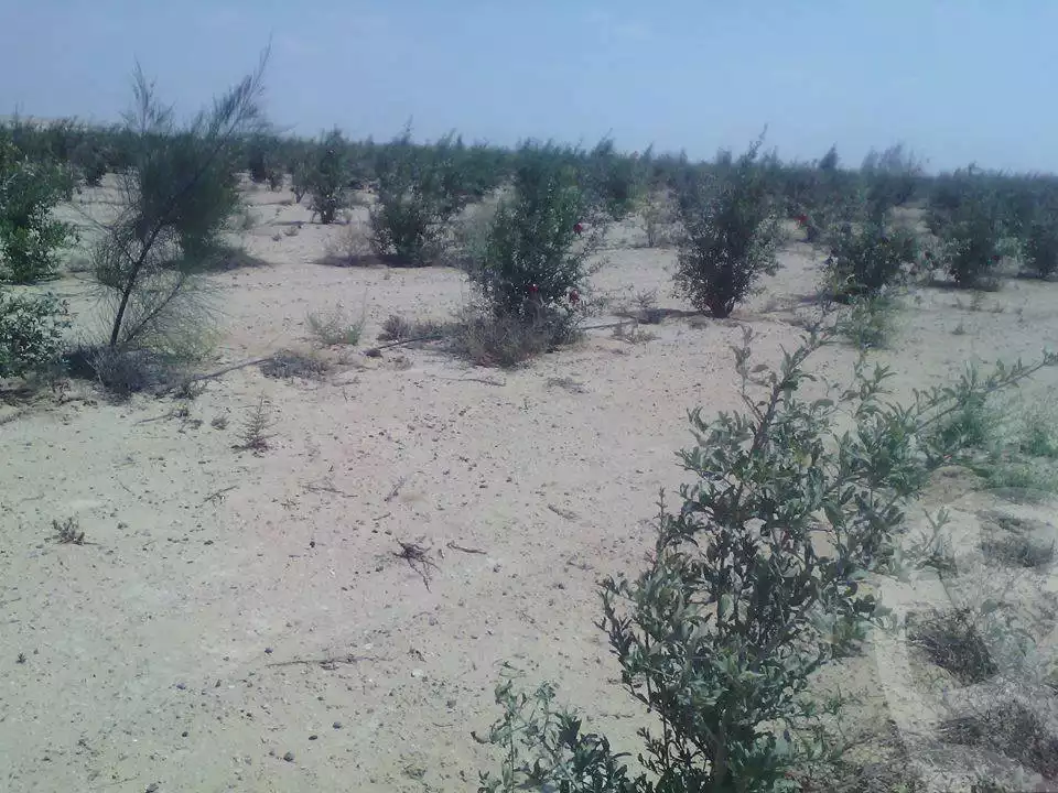 https://aqarmap.com.eg/en/listing/2499019-for-sale-land-or-farm-beheira
