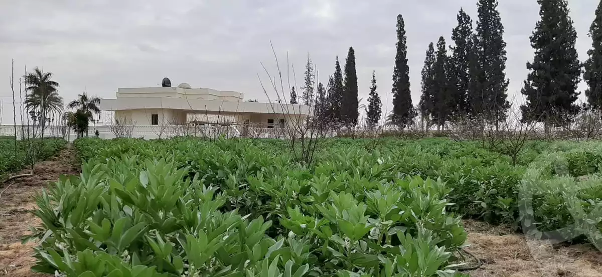 https://aqarmap.com.eg/ar/listing/2735412-for-sale-land-or-farm-cairo-alex-cairo-desert-road
