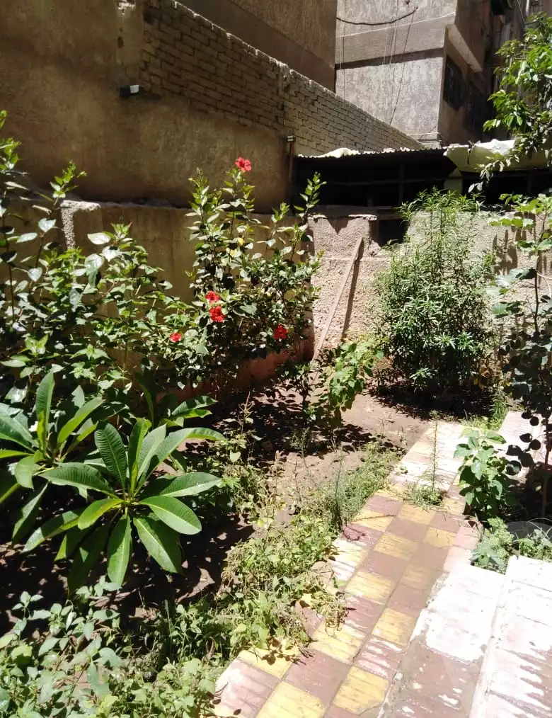 https://aqarmap.com.eg/ar/listing/2869559-for-sale-cairo-nasr-city-8th-zone-ahmed-el-khashab-st