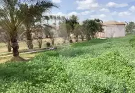 https://aqarmap.com.eg/en/listing/4207700-for-sale-qalyubia-qlioub-qlioub-city