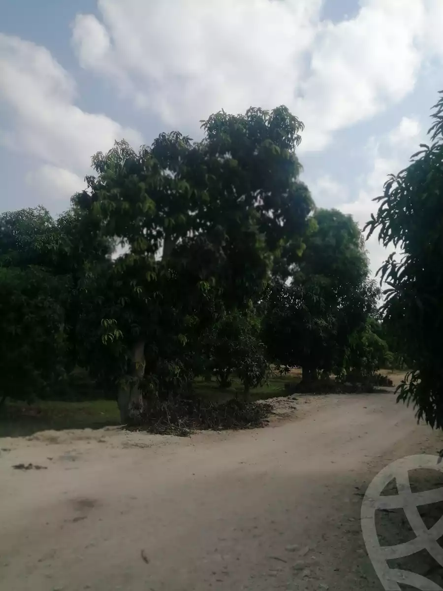 https://aqarmap.com.eg/en/listing/3871736-for-sale-ismailia-mntq-fr-y-blsm-yly