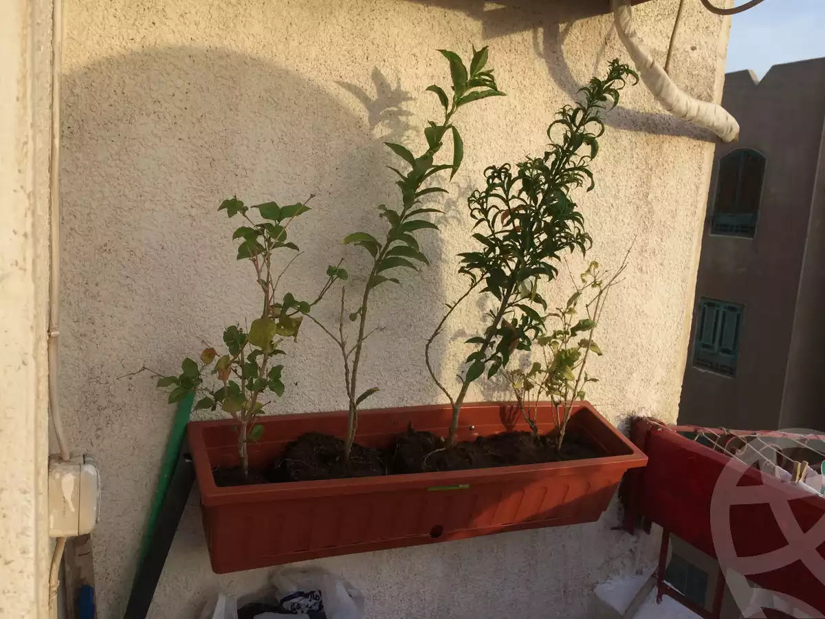 https://aqarmap.com.eg/ar/listing/3539122-for-sale-cairo-al-oubour-eskan-el-shabab