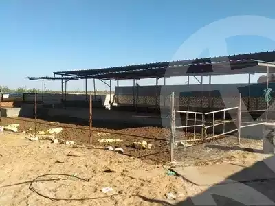 https://aqarmap.com.eg/en/listing/3753399-for-sale-ismailia-tall-el-kebir