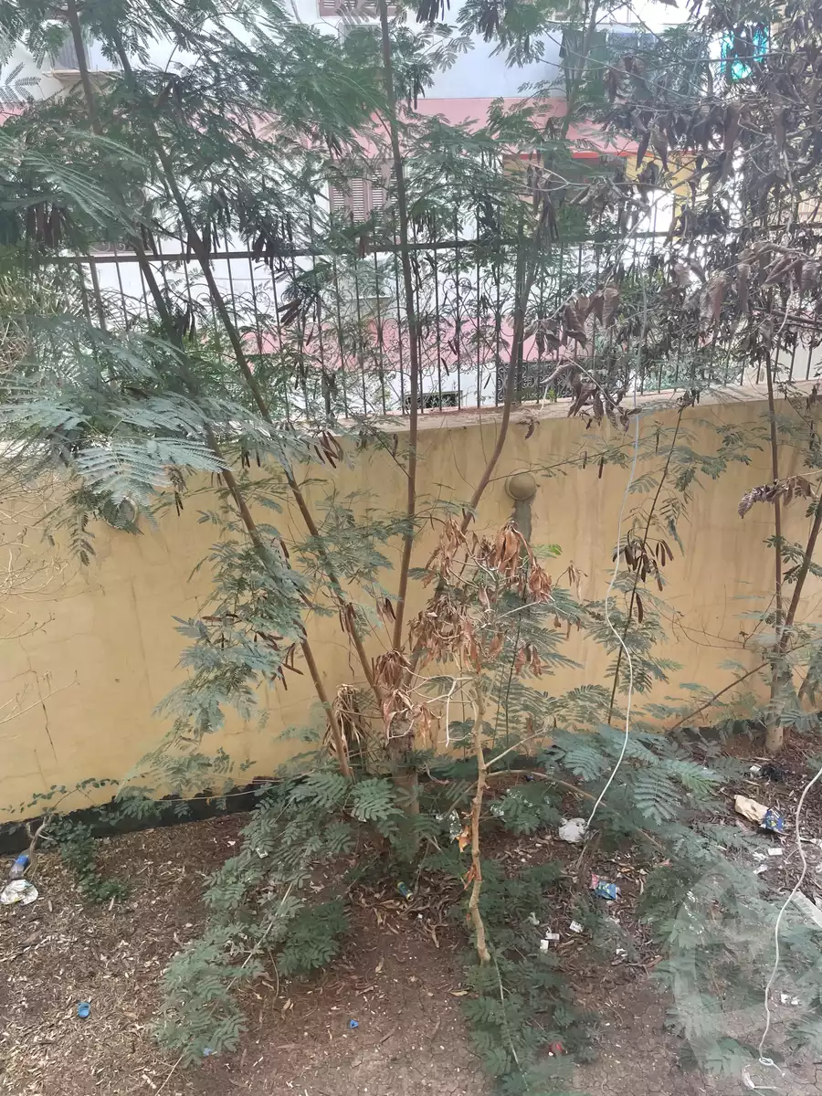 https://aqarmap.com.eg/ar/listing/4296896-for-rent-cairo-6th-of-october-el-ahyaa-neighborhood-2nd-divided-from-al-kafrawei-st