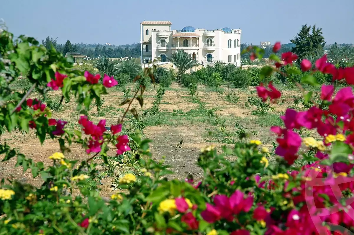 https://aqarmap.com.eg/ar/listing/3829867-for-sale-cairo-alex-cairo-desert-road-mdyn-sfnks-ljdyd