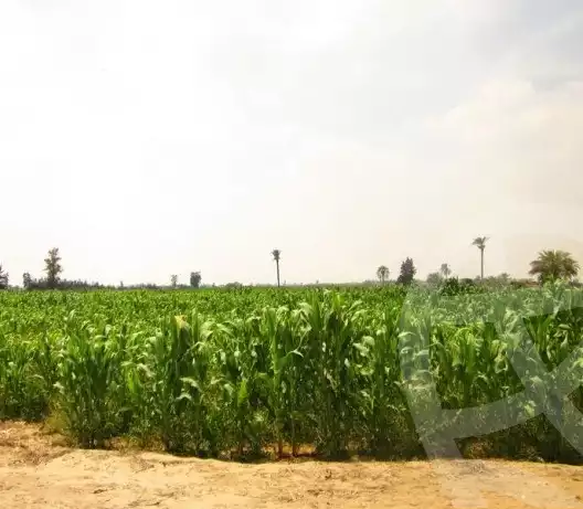 https://aqarmap.com.eg/ar/listing/4607689-for-sale-beheira-new-nubariya-lmntq-lskny-lwly