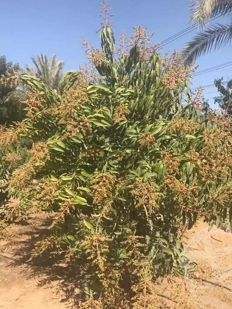 https://aqarmap.com.eg/ar/listing/3862589-for-sale-cairo-other-neighborhoods-in-greater-cairo
