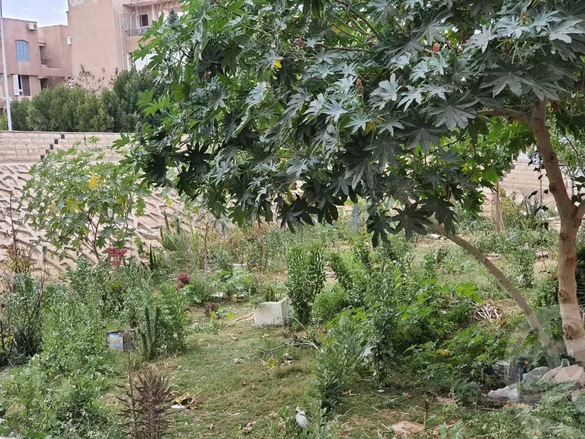 https://aqarmap.com.eg/ar/listing/3878041-for-rent-cairo-el-shorouk-skn-lshbb-100m