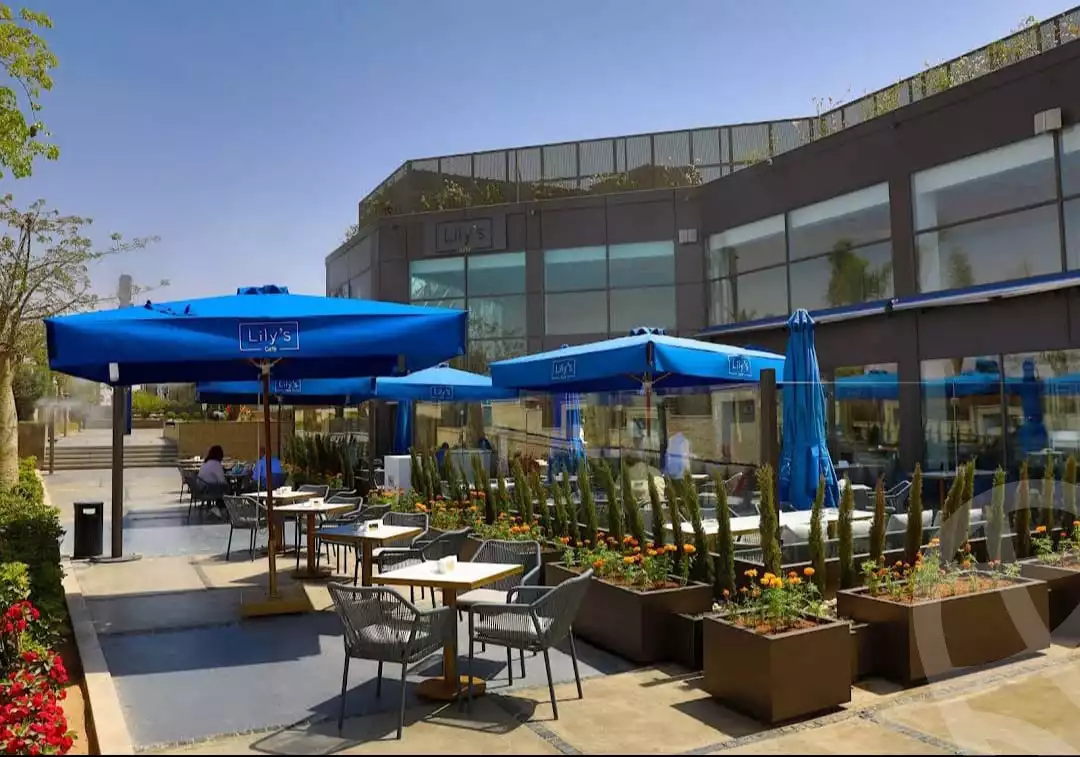https://aqarmap.com.eg/ar/listing/3880534-for-sale-walk-of-cairo-mall