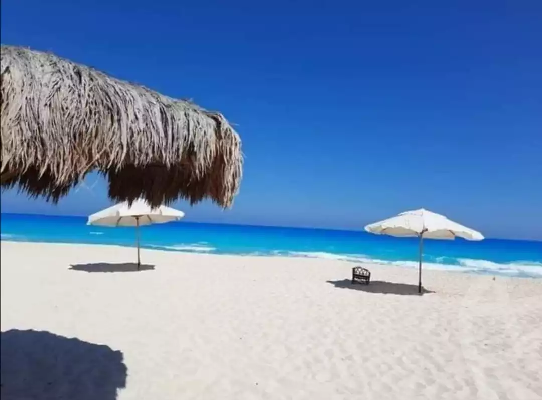 https://aqarmap.com.eg/ar/listing/3986334-for-rent-north-coast-resorts-dimora