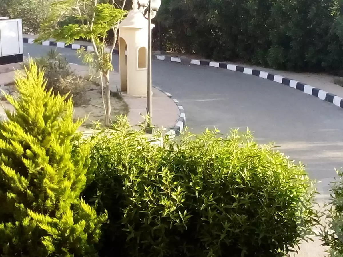 https://aqarmap.com.eg/en/listing/4019799-for-rent-el-alamein-mdyn-l-lmyn