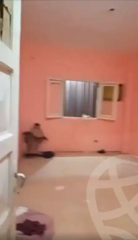 https://aqarmap.com.eg/en/listing/4040698-for-rent-cairo-el-agouza-ard-el-lewa
