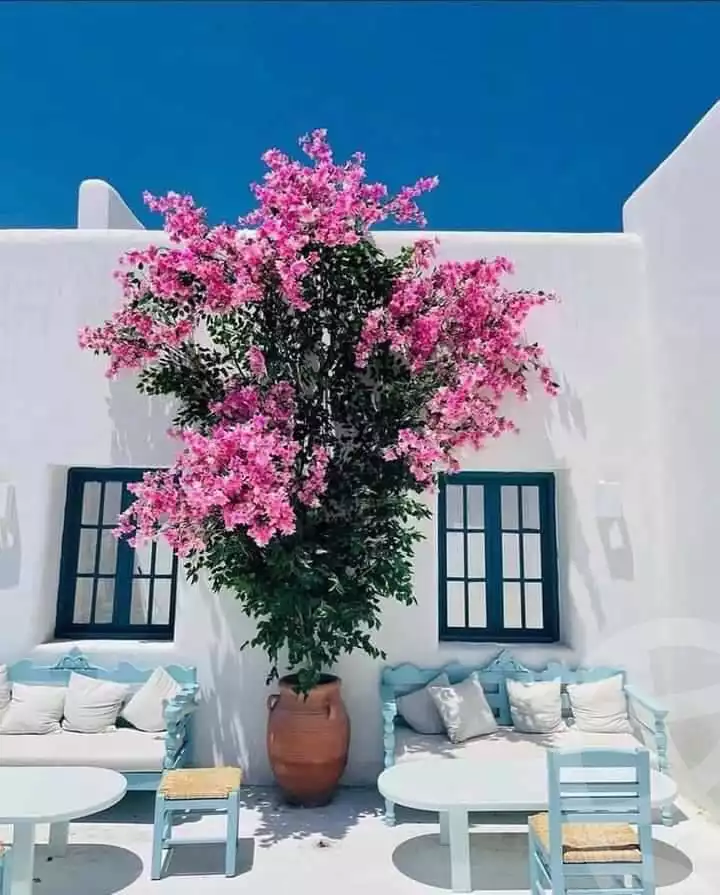 https://aqarmap.com.eg/en/listing/4055773-for-sale-north-coast-resorts-mwntn-fyw-rs-lhkm