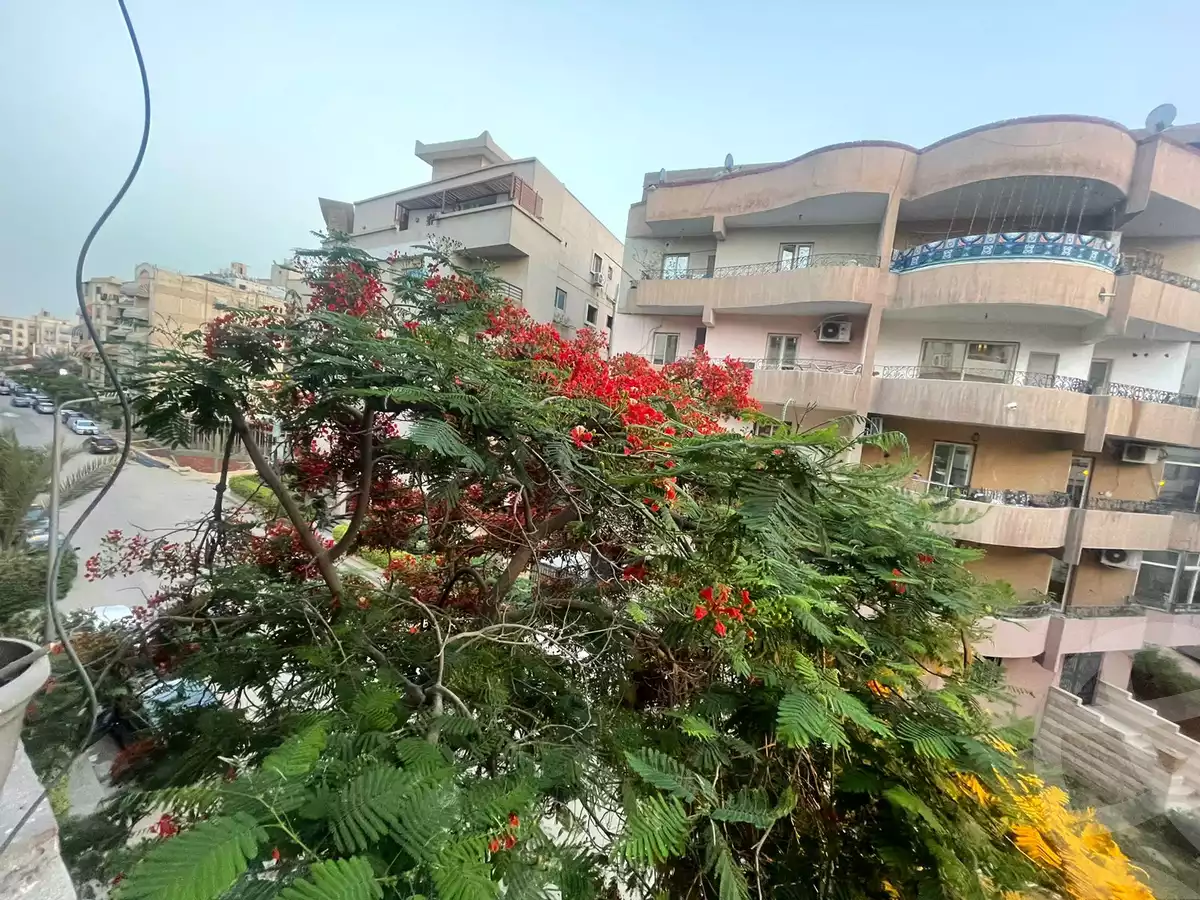 https://aqarmap.com.eg/en/listing/4063995-for-sale-cairo-el-maadi-mdyn-lm-rj-barakat-st