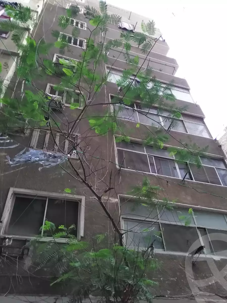https://aqarmap.com.eg/ar/listing/4071328-for-sale-hassanein-desoky-st