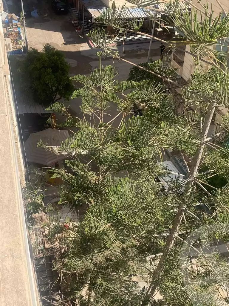 https://aqarmap.com.eg/en/listing/4145264-for-sale-alexandria-l-jmy-shataa-el-nakheel-octuber-al-nakhel-st