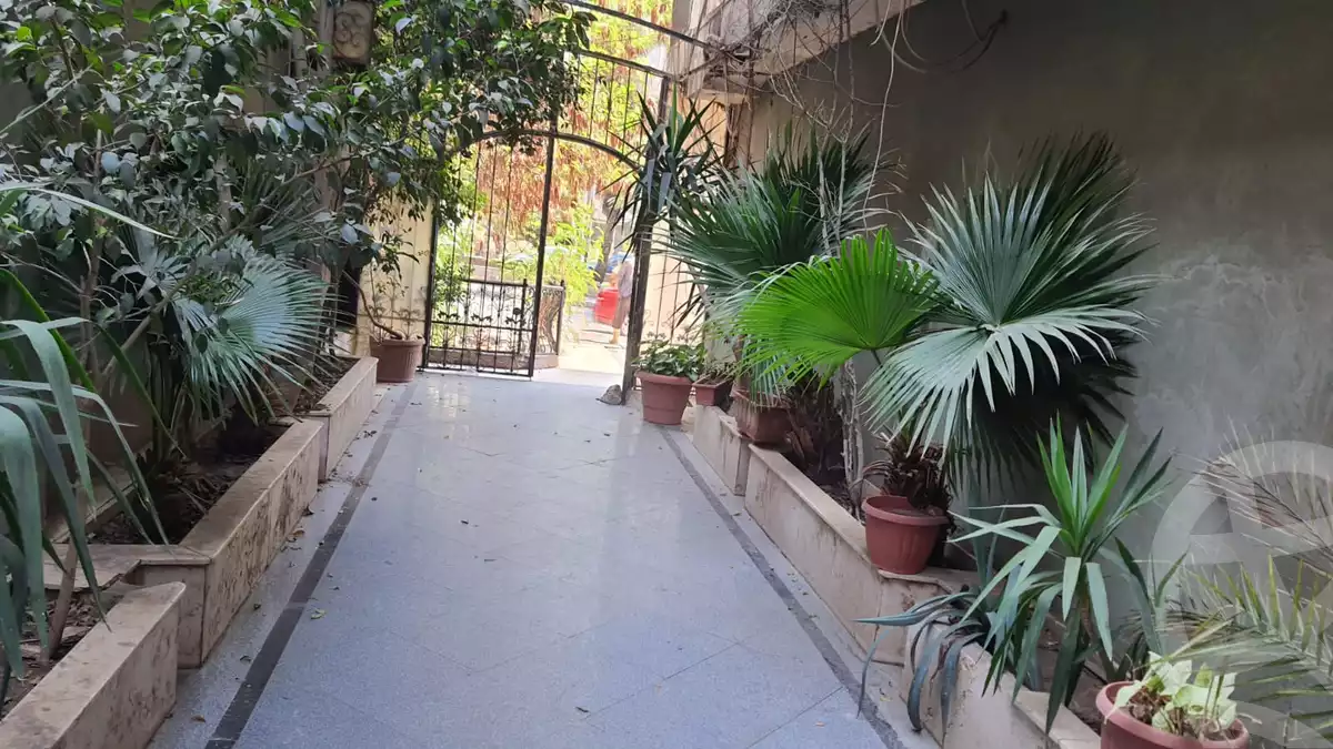 https://aqarmap.com.eg/en/listing/4104497-for-rent-cairo-el-maadi-el-maadi-el-gededa-el-nasr-st