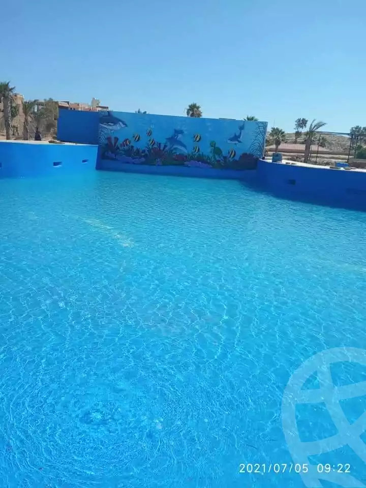 https://aqarmap.com.eg/en/listing/4152970-for-rent-marsa-matruh-marsa-matrouh-city