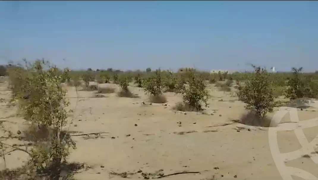 https://aqarmap.com.eg/ar/listing/4154374-for-sale-cairo-alex-cairo-desert-road-mdyn-sfnks-ljdyd