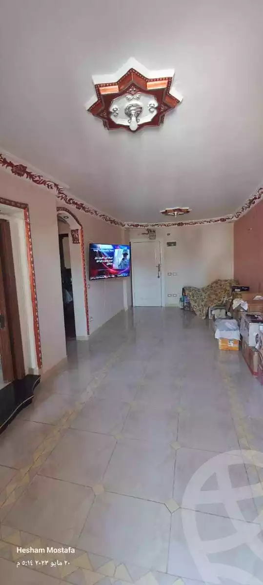 https://aqarmap.com.eg/en/listing/4169080-for-sale-alexandria-l-jmy-lbytsh-el-shaheed-essam-abd-el-hameed-ibrahim-st