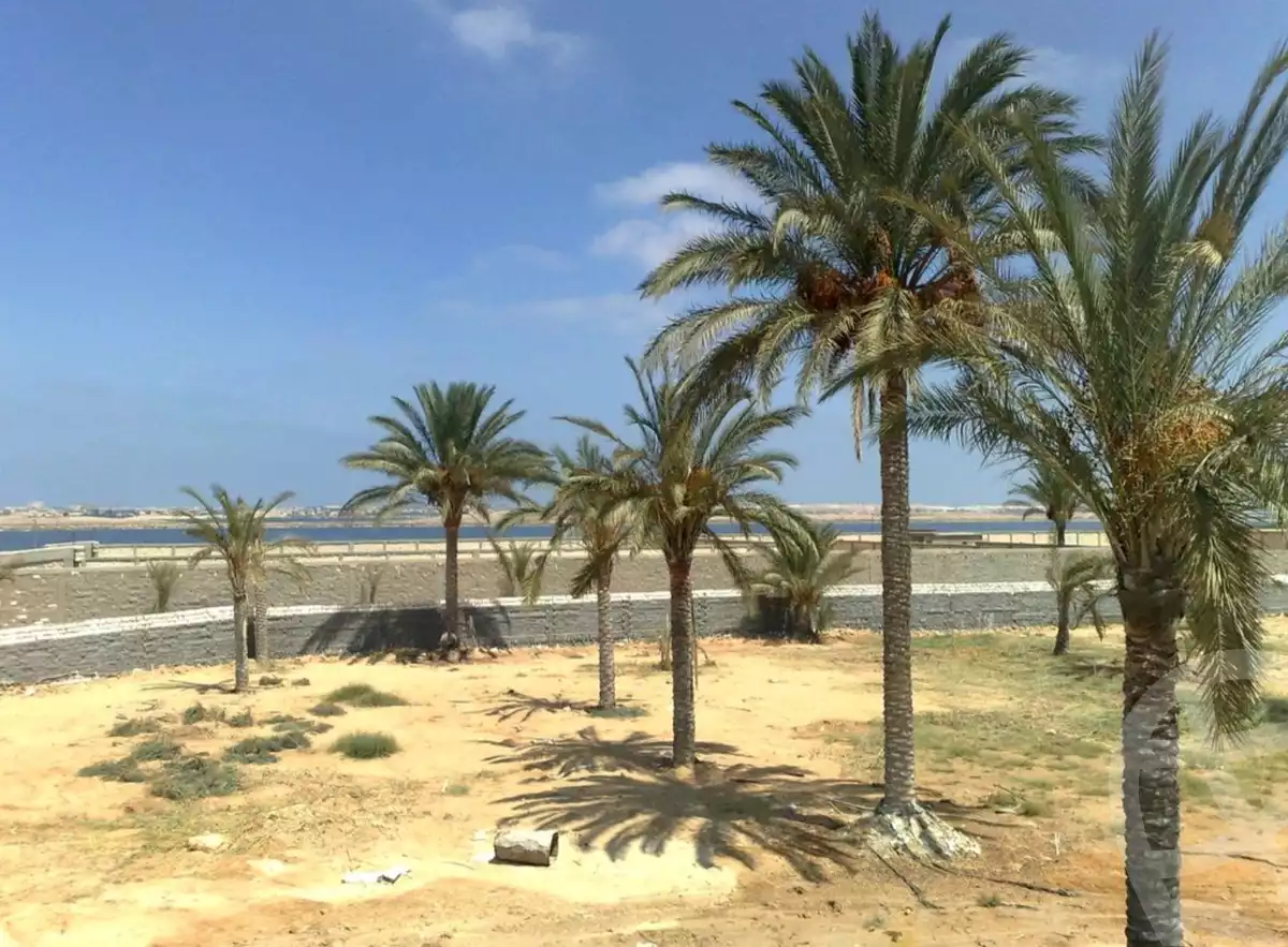 https://aqarmap.com.eg/ar/listing/4168465-for-sale-alexandria-marsa-matrouh-rd
