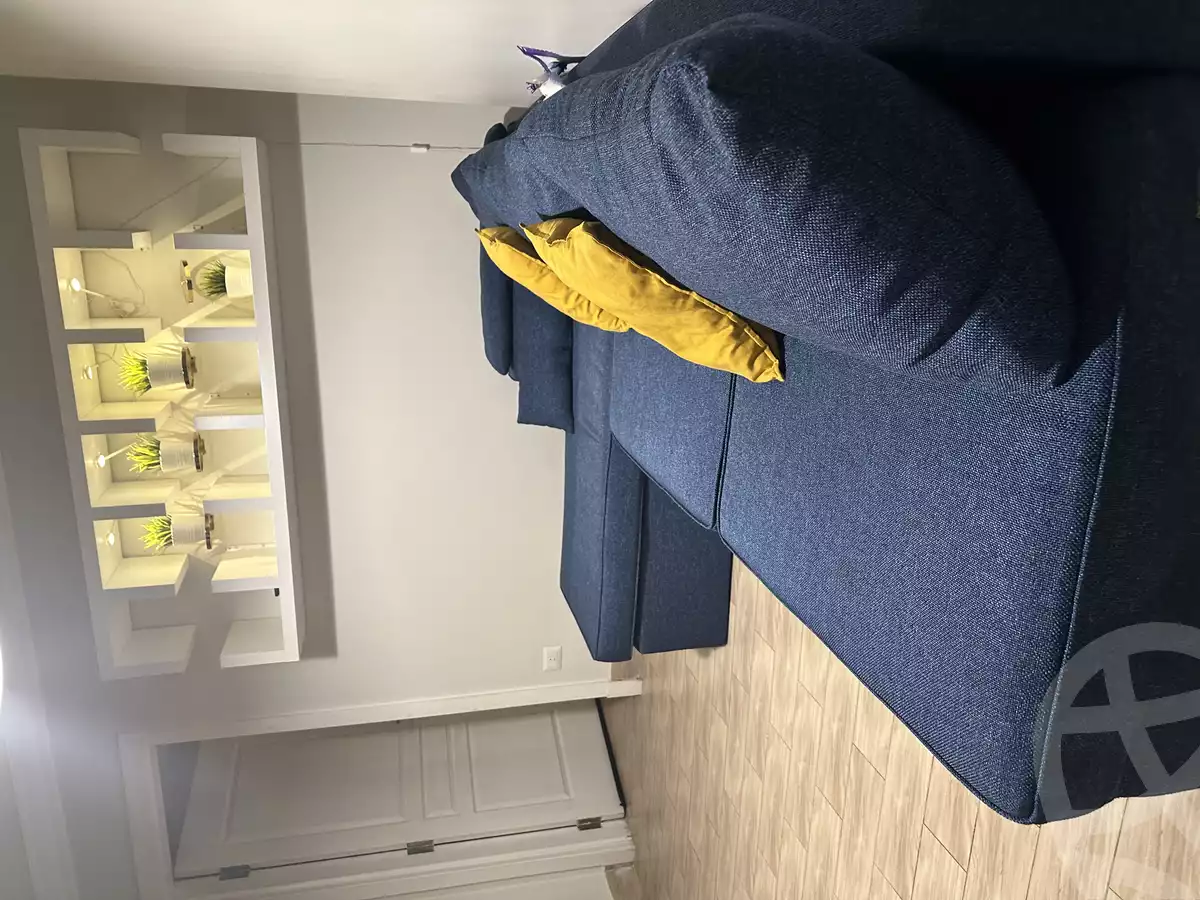 https://aqarmap.com.eg/en/listing/4192802-for-rent-cairo-dokki-msdq