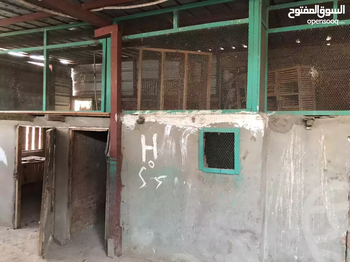 https://aqarmap.com.eg/en/listing/4226133-for-sale-gharbia-el-mahallah-el-kubra-el-mahalah-el-kobra-city-abou-el-hassan-st