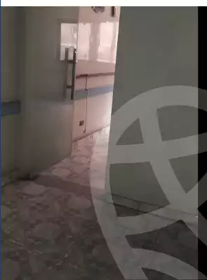 https://aqarmap.com.eg/en/listing/4228602-for-rent-alexandria-miami-shr-jml-bd-lnsr