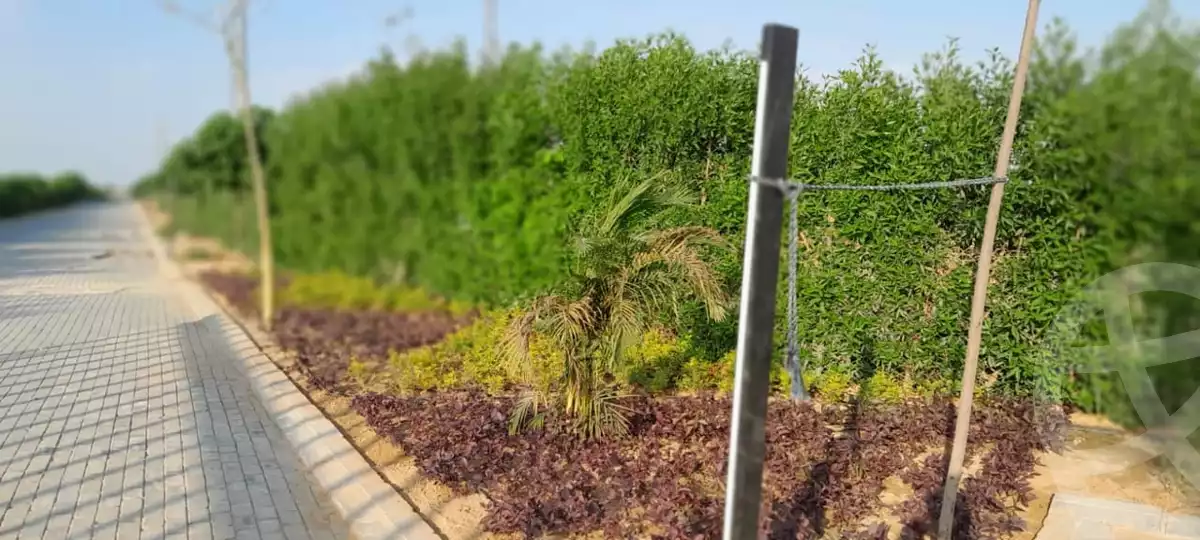 https://aqarmap.com.eg/ar/listing/4230389-for-sale-cairo-alex-cairo-desert-road-mdyn-sfnks-ljdyd