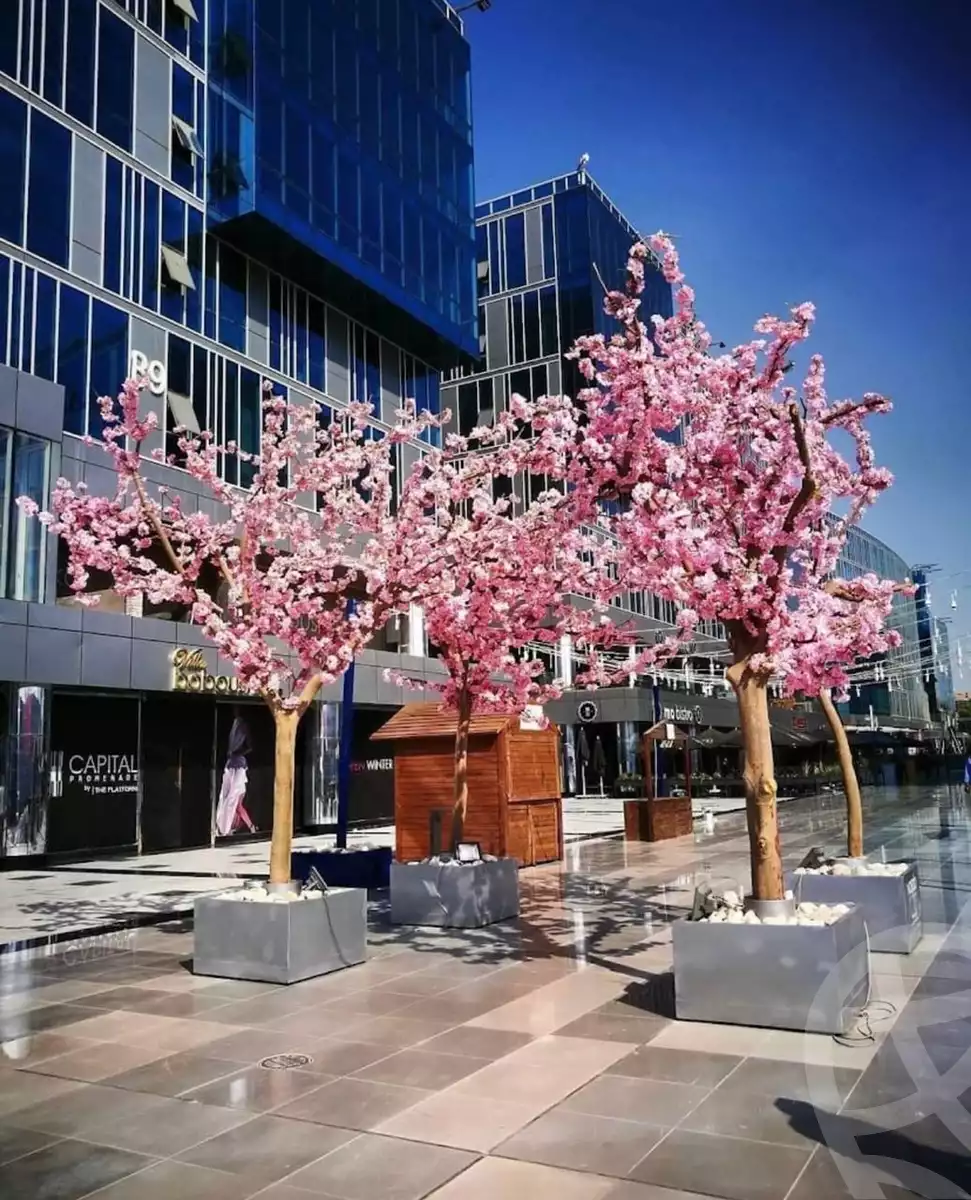 https://aqarmap.com.eg/en/listing/4230989-for-sale-cairo-el-sheikh-zayed-city-compounds-in-sheikh-zayed-capital-business-park
