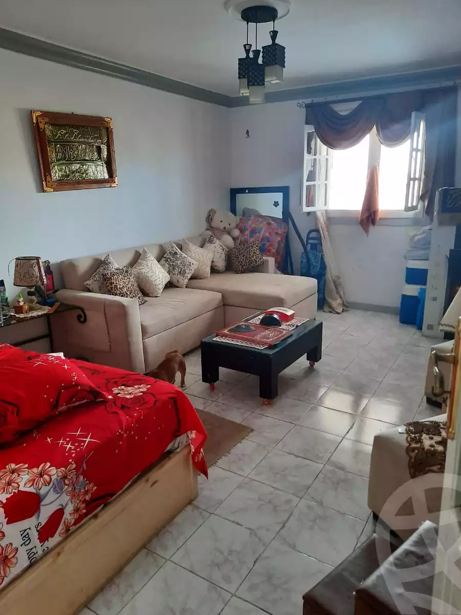 https://aqarmap.com.eg/en/listing/4234557-for-rent-gamila-abu-herid-st