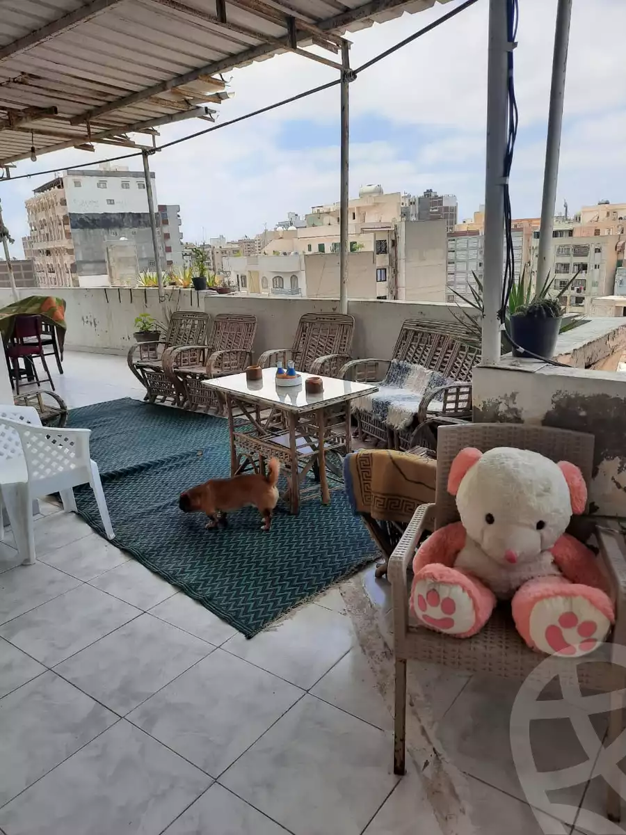 https://aqarmap.com.eg/en/listing/4234557-for-rent-gamila-abu-herid-st