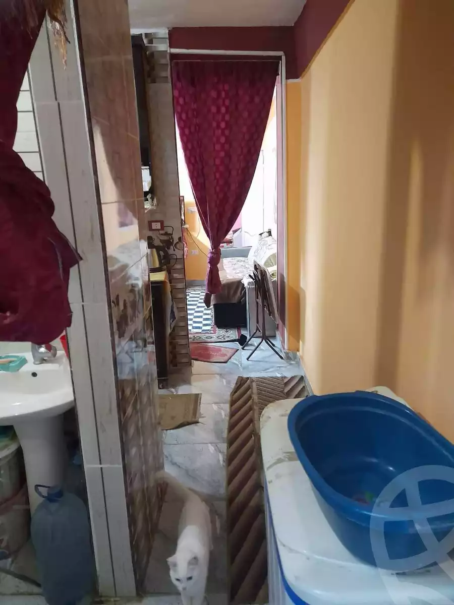 https://aqarmap.com.eg/en/listing/4242660-for-sale-qalyubia-el-khsos-el-khosos-city