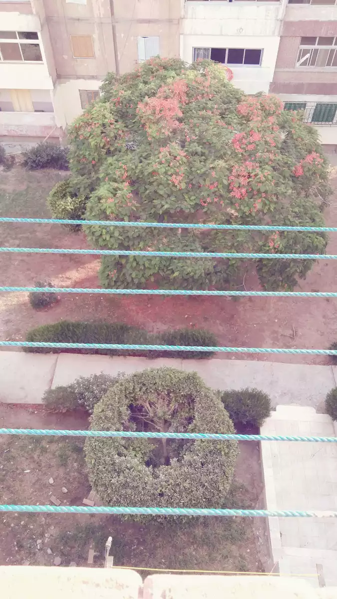 https://aqarmap.com.eg/en/listing/4254999-for-sale-cairo-15th-of-may