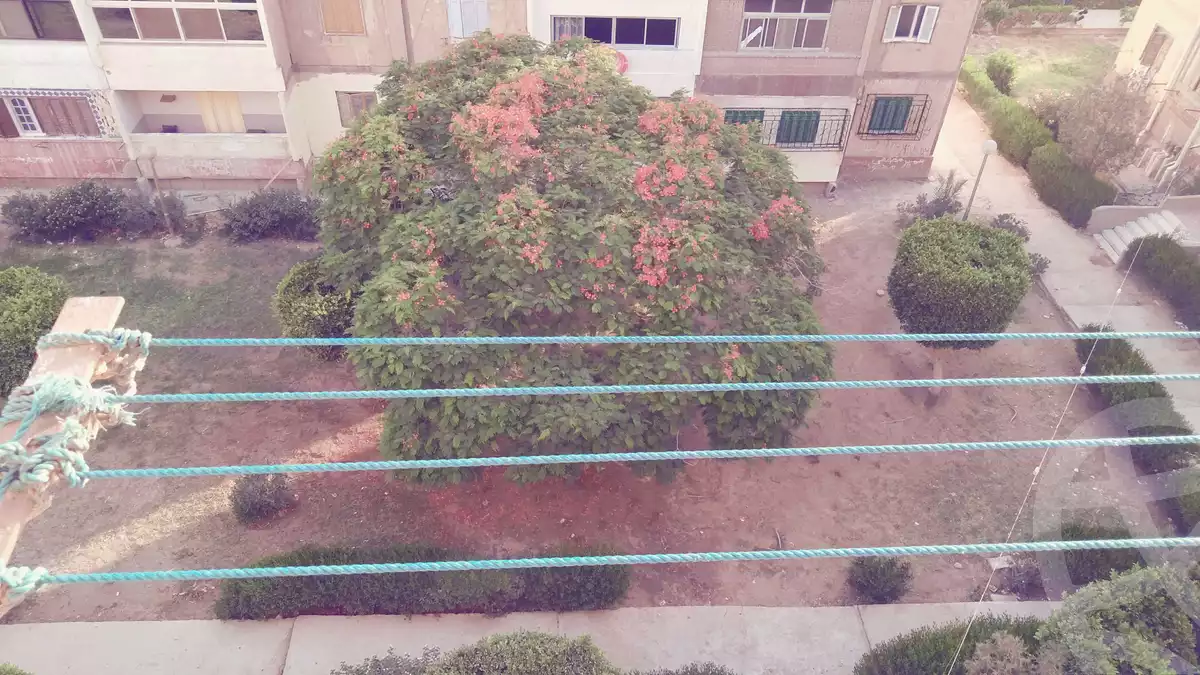 https://aqarmap.com.eg/en/listing/4254999-for-sale-cairo-15th-of-may