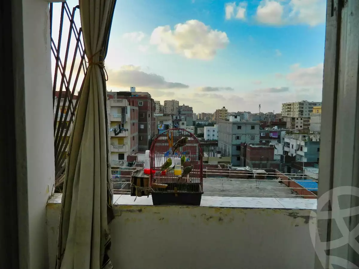 https://aqarmap.com.eg/en/listing/4262423-for-sale-alexandria-l-jmy-bw-ywsf