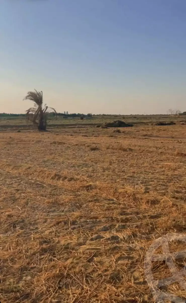 https://aqarmap.com.eg/ar/listing/4312131-for-sale-el-fayoum-tamiya-tamiyyah-city