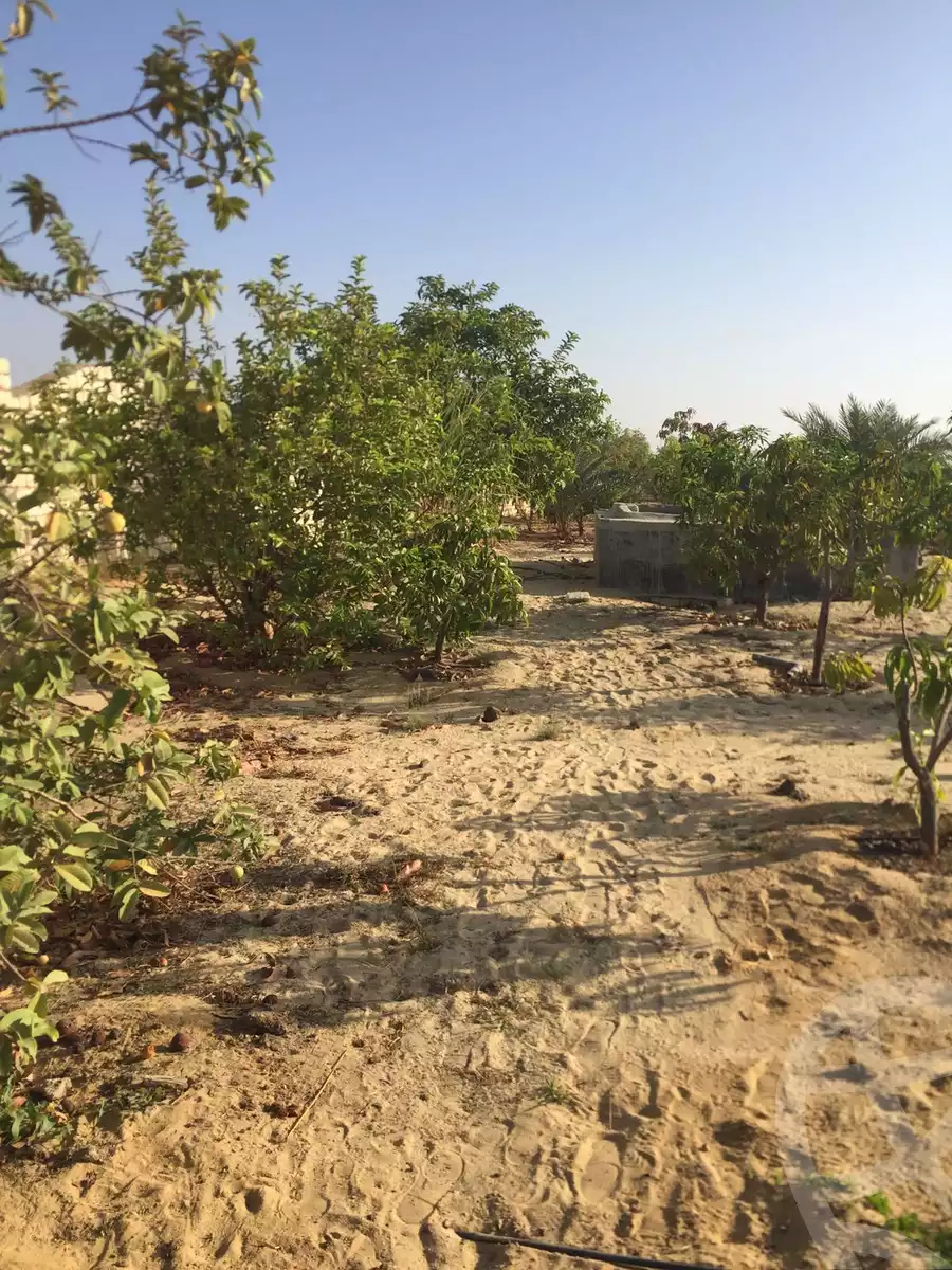 https://aqarmap.com.eg/en/listing/4317377-for-sale-cairo-alex-cairo-desert-road-mdyn-sfnks-ljdyd-de-joya-park-compound-taj-misr