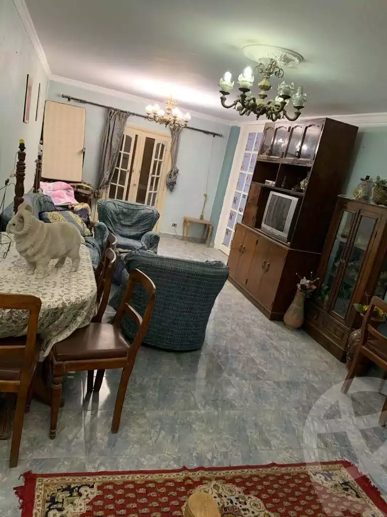 https://aqarmap.com.eg/en/listing/4098028-for-rent-cairo-heliopolis-sheraton