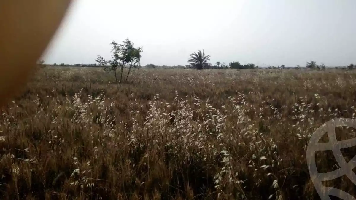https://aqarmap.com.eg/ar/listing/4335896-for-sale-cairo-giza-el-saf-ghammaza-el-kobra-village