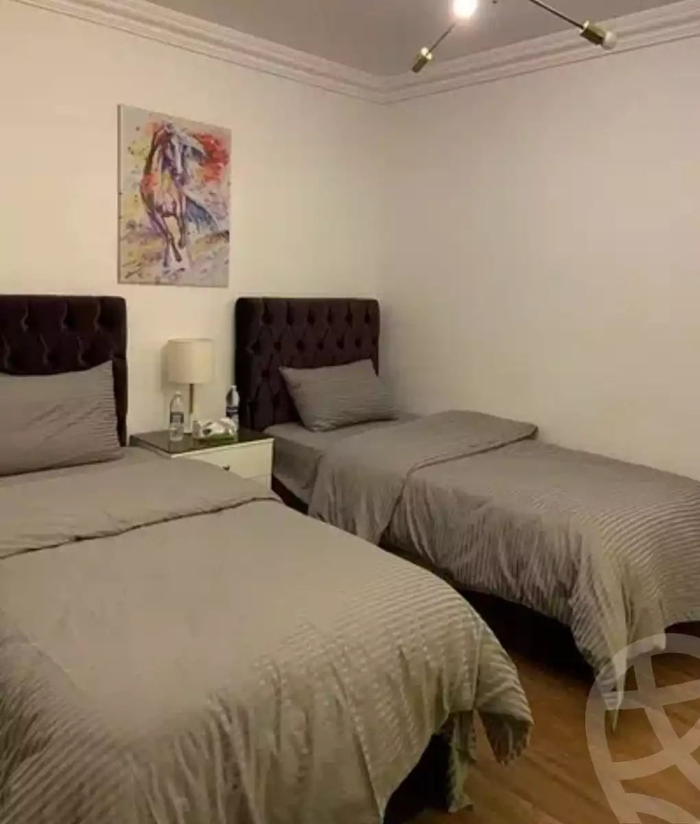 https://aqarmap.com.eg/en/listing/4358781-for-rent-cairo-dokki-michele-bakhom