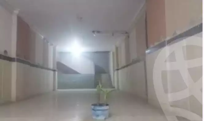 https://aqarmap.com.eg/en/listing/4369426-for-sale-monufia-shibin-el-kom-estbary