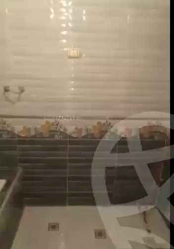https://aqarmap.com.eg/en/listing/4388154-for-sale-moussa-dewidar-st
