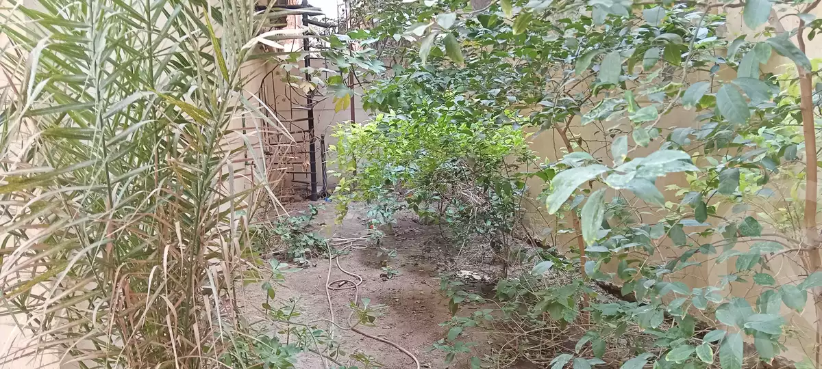 https://aqarmap.com.eg/en/listing/4390046-for-sale-cairo-hdyq-lhrm--mntq