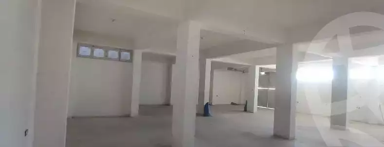 https://aqarmap.com.eg/en/listing/4550469-for-rent-alexandria-el-amreya